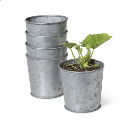 Flower pot Image